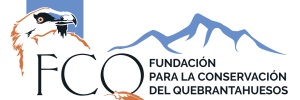 Logo-FCQ